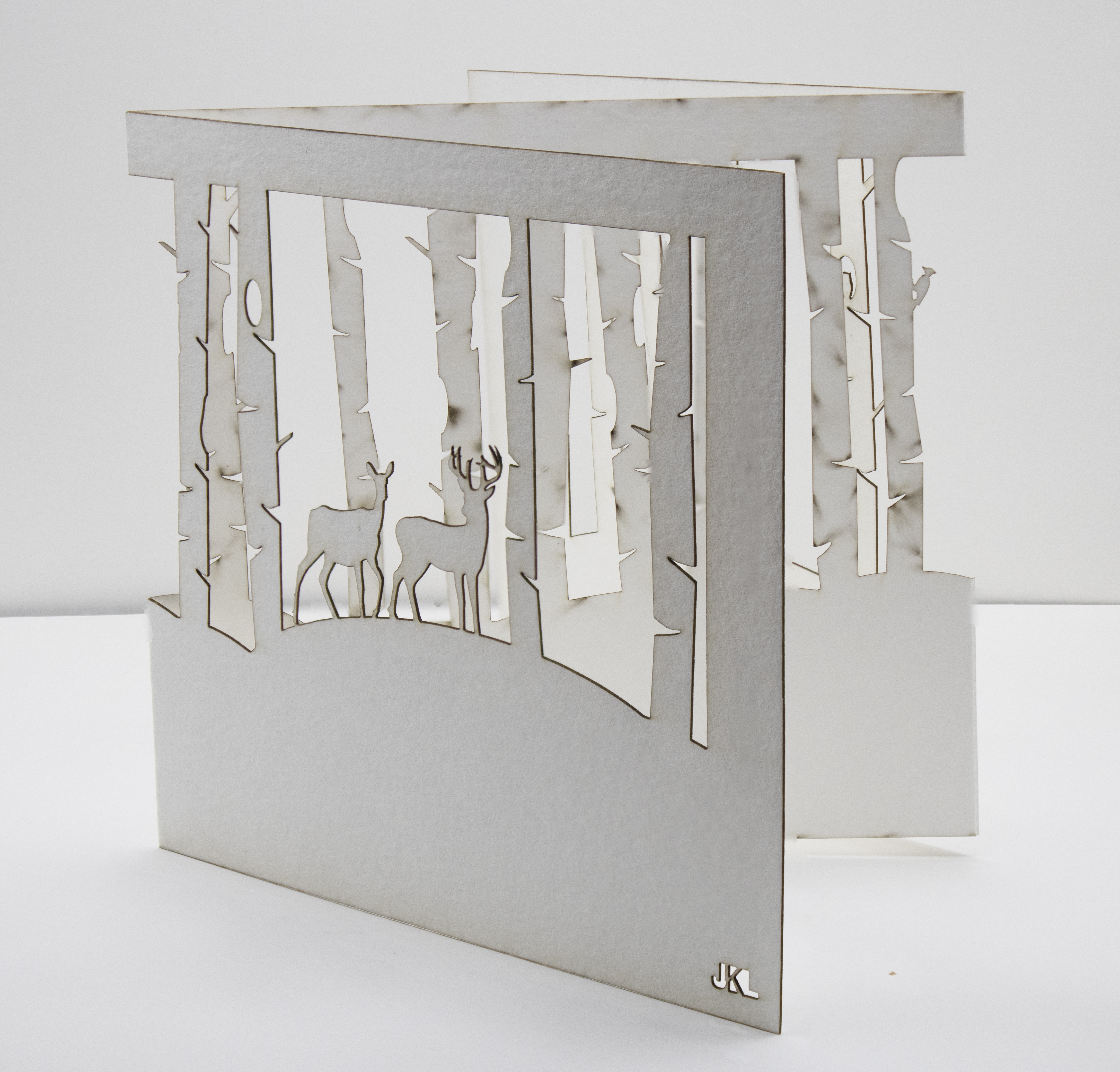 a picture of my divine leader